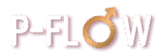 P-Flow
